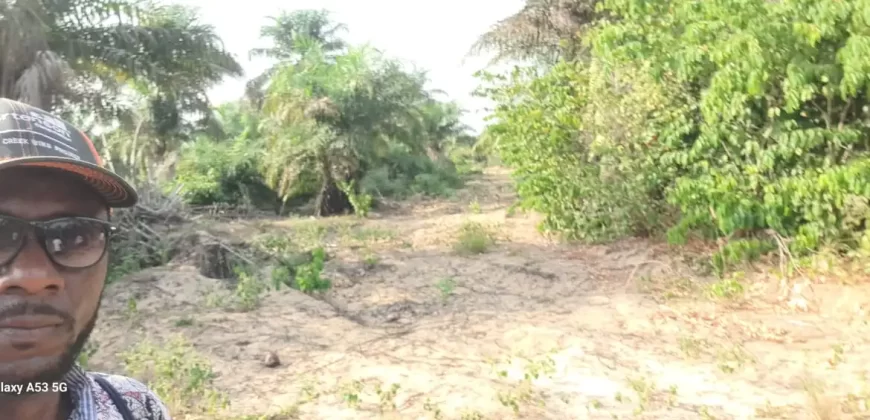 Beach Community Land. #110