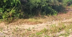 Beach Community Land. #110