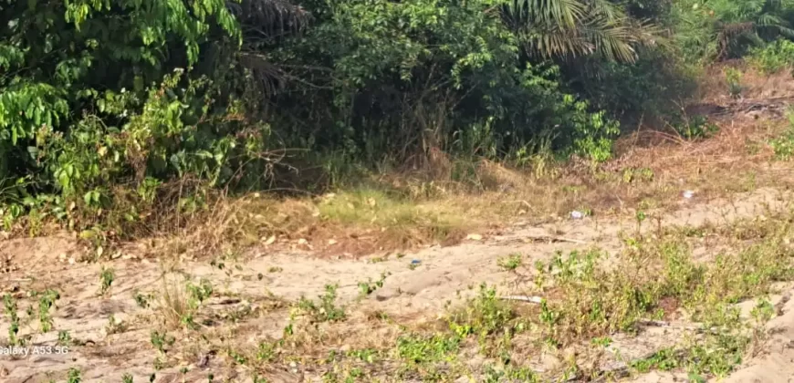 Beach Community Land. #110