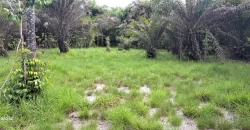 Beach Community Land. #110