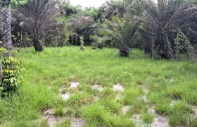 Beach Community Land. #110