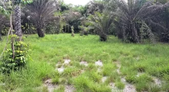 Beach Community Land. #110