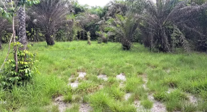 Beach Community Land. #110