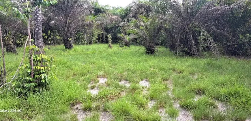 Beach Community Land. #110