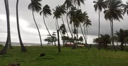 Brewerville Waterfront Land #111