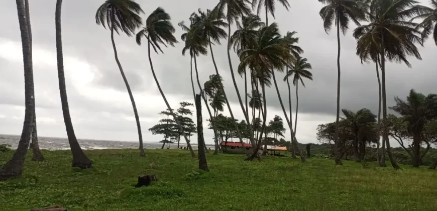 Brewerville Waterfront Land #111