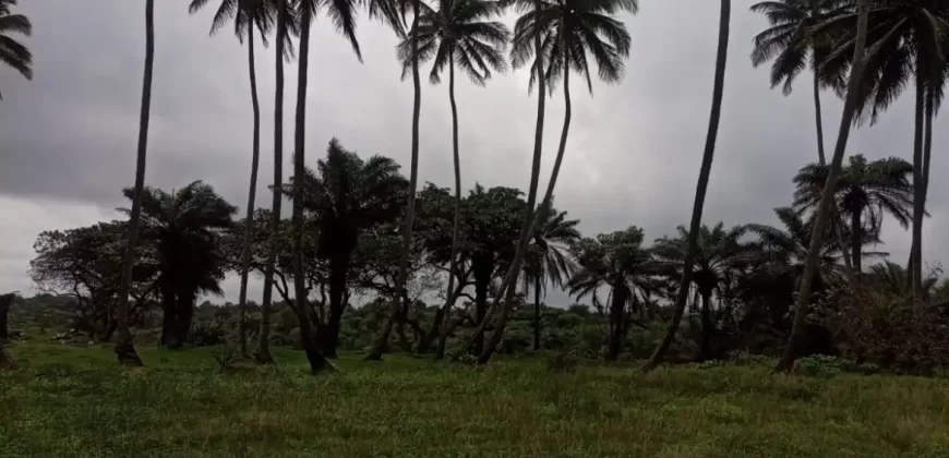 Brewerville Waterfront Land #111