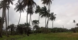 Brewerville Waterfront Land #111