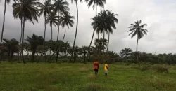 Brewerville Waterfront Land #111