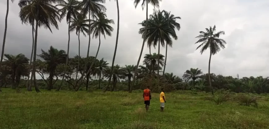 Brewerville Waterfront Land #111