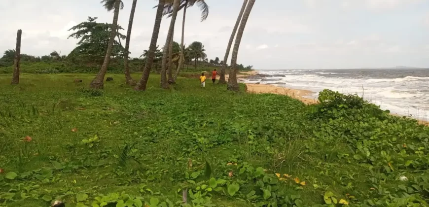 Brewerville Waterfront Land #111