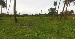 Brewerville Waterfront Land #111