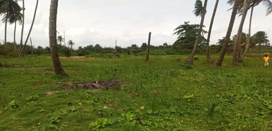 Brewerville Waterfront Land #111