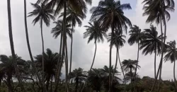 Brewerville Waterfront Land #111