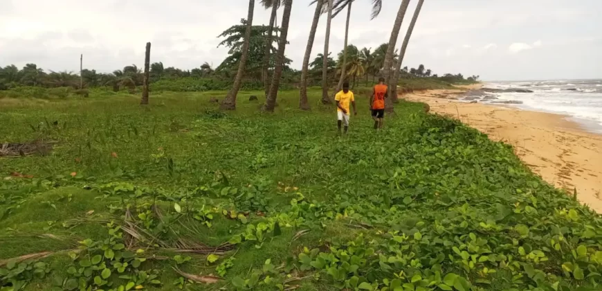 Brewerville Waterfront Land #111