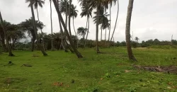 Brewerville Waterfront Land #111