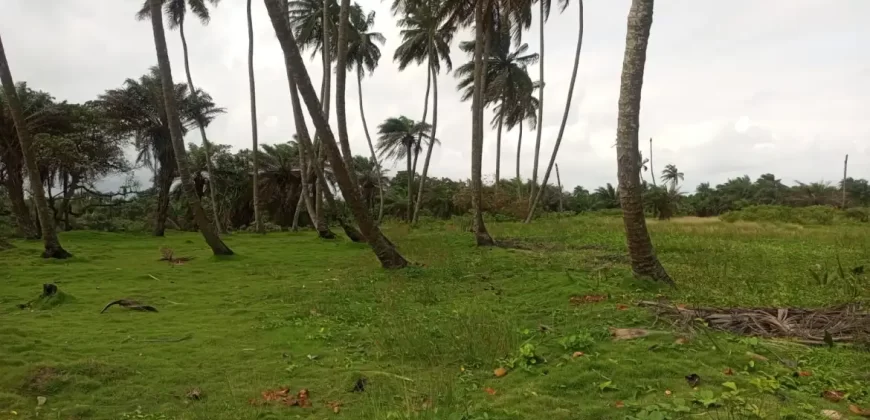 Brewerville Waterfront Land #111