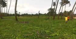 Brewerville Waterfront Land #111