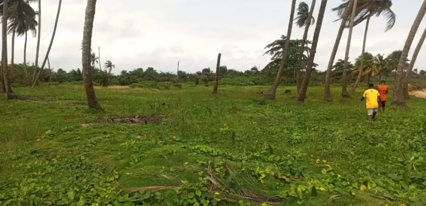 Brewerville Waterfront Land #111