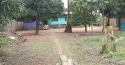 Two Houses In Brewerville