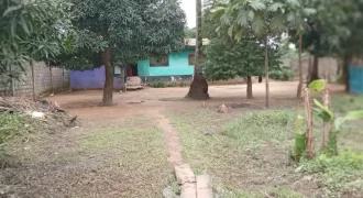 Two Houses In Brewerville