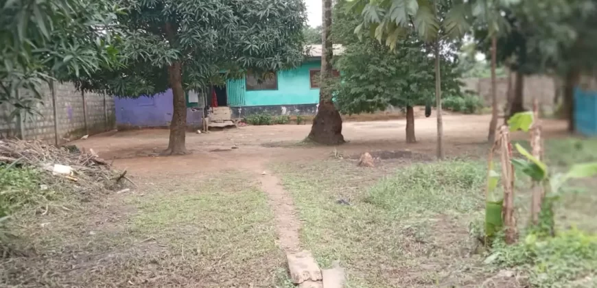 Two Houses In Brewerville