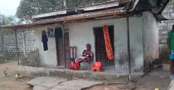 Two Houses In Brewerville