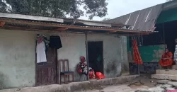 Two Houses In Brewerville