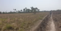 3 Acrea & 2 Lots near RIA. #113