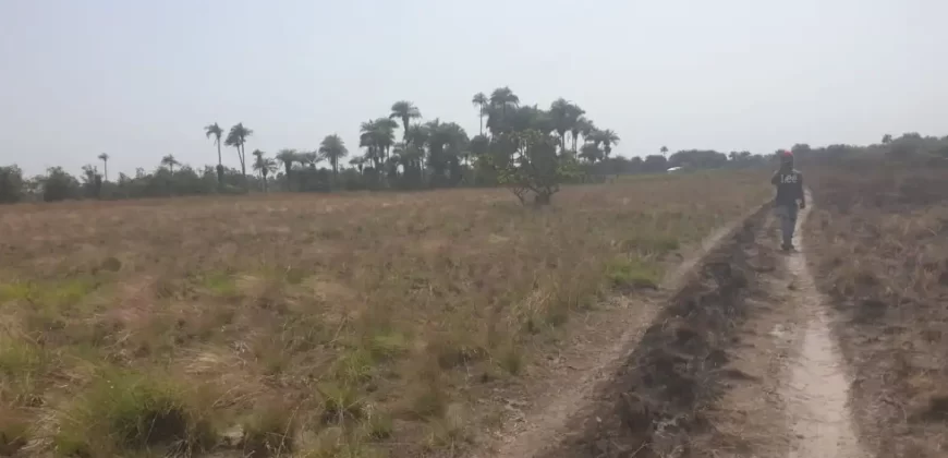 3 Acrea & 2 Lots near RIA. #113