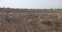 3 Acrea & 2 Lots near RIA. #113