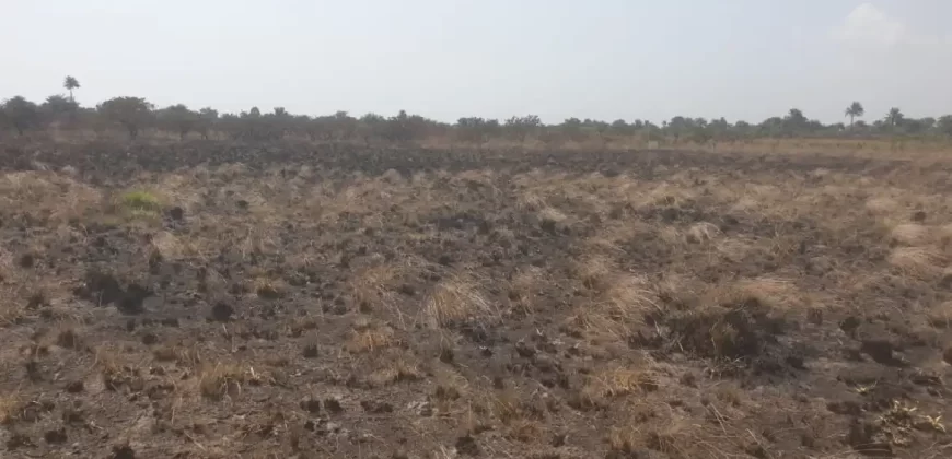 3 Acrea & 2 Lots near RIA. #113