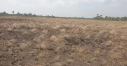 3 Acrea & 2 Lots near RIA. #113