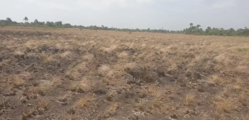 3 Acrea & 2 Lots near RIA. #113