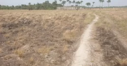 3 Acrea & 2 Lots near RIA. #113