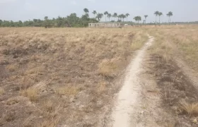 3 Acrea & 2 Lots near RIA. #113