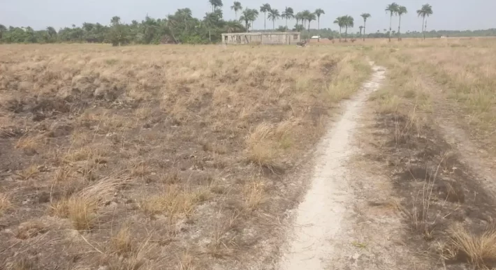 3 Acrea & 2 Lots near RIA. #113