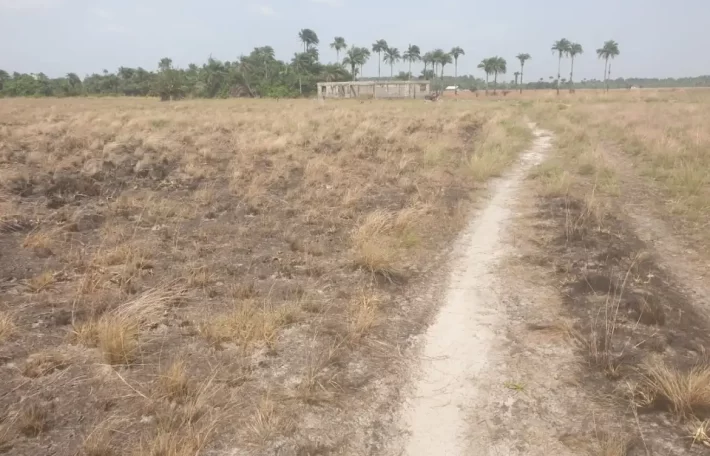 3 Acrea & 2 Lots near RIA. #113