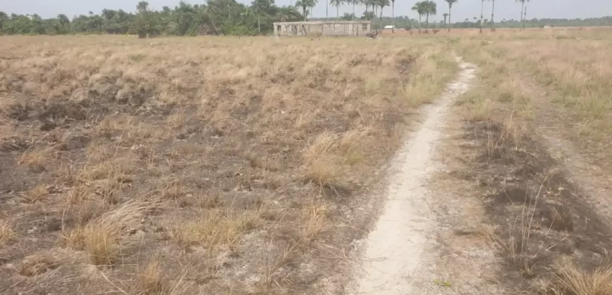 3 Acrea & 2 Lots near RIA. #113