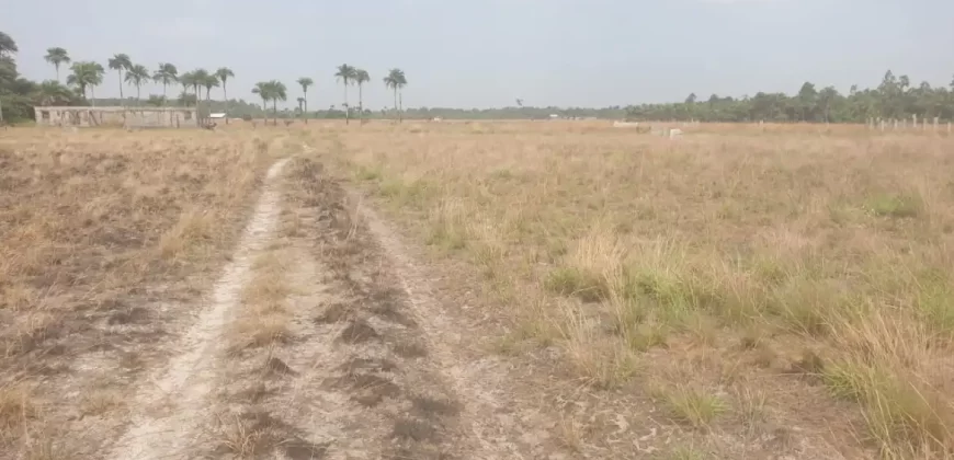 3 Acrea & 2 Lots near RIA. #113