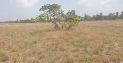 3 Acrea & 2 Lots near RIA. #113