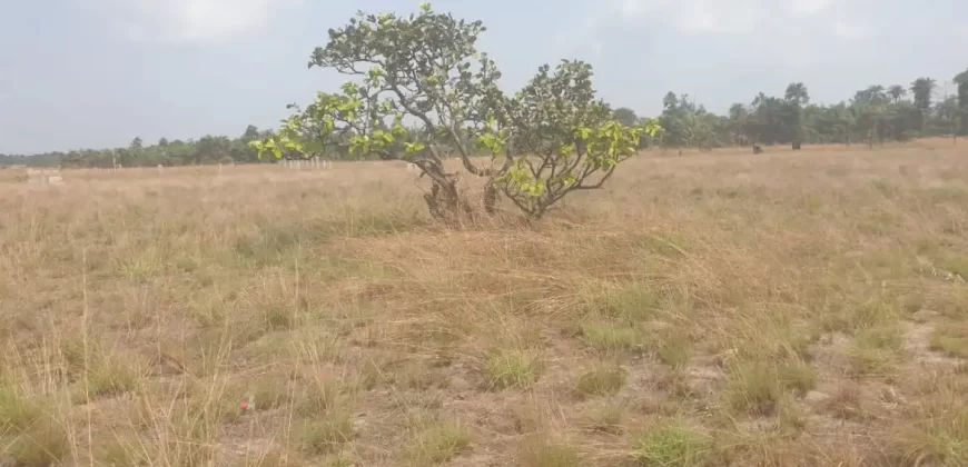 3 Acrea & 2 Lots near RIA. #113