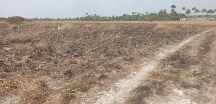 3 Acrea & 2 Lots near RIA. #113