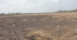 3 Acrea & 2 Lots near RIA. #113