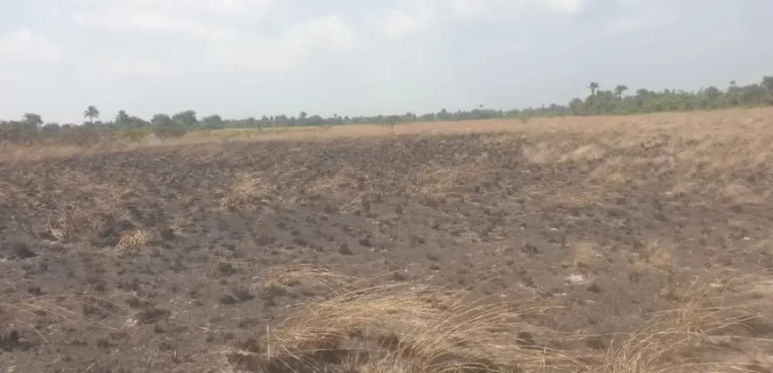 3 Acrea & 2 Lots near RIA. #113