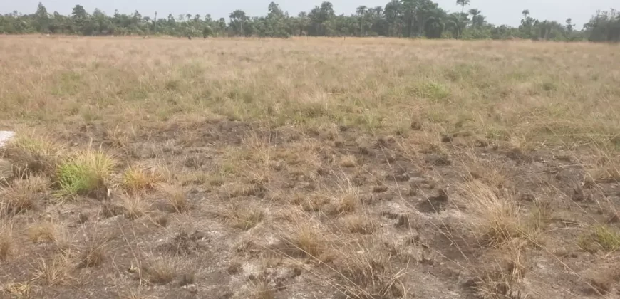 3 Acrea & 2 Lots near RIA. #113