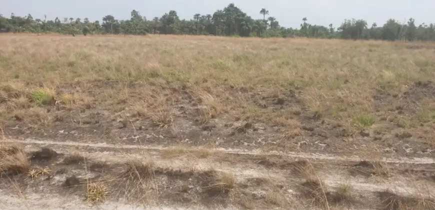 3 Acrea & 2 Lots near RIA. #113