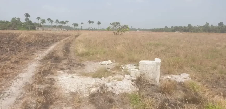 3 Acrea & 2 Lots near RIA. #113