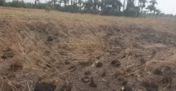 3 Acrea & 2 Lots near RIA. #113