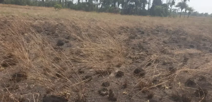 3 Acrea & 2 Lots near RIA. #113